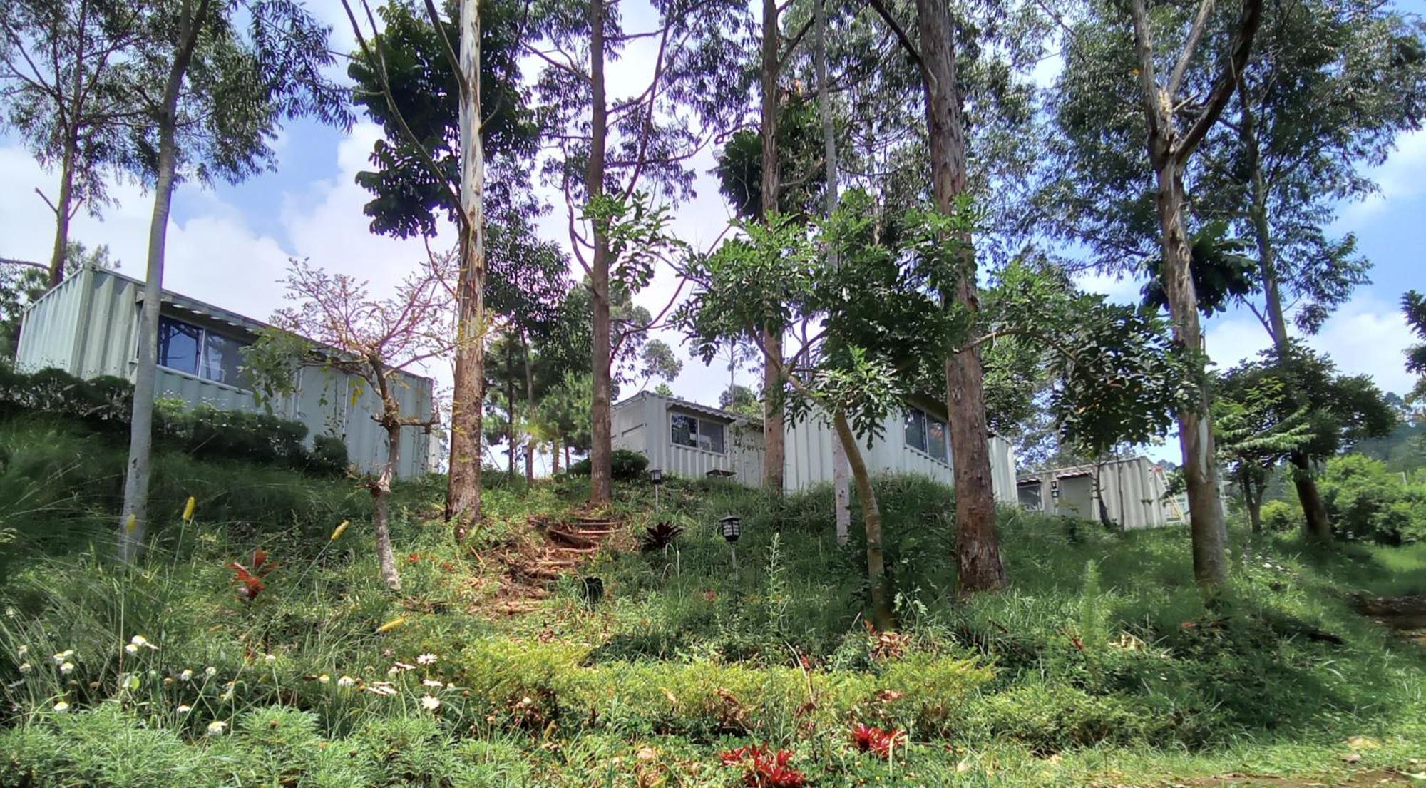 Hotel Bukit Pinus Tegalharendong Екстер'єр фото